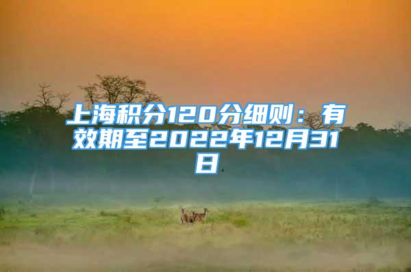 上海積分120分細(xì)則：有效期至2022年12月31日