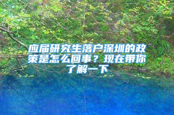 應(yīng)屆研究生落戶深圳的政策是怎么回事？現(xiàn)在帶你了解一下