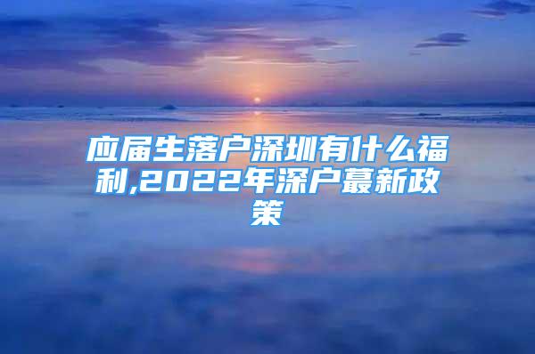 應(yīng)屆生落戶深圳有什么福利,2022年深戶蕞新政策