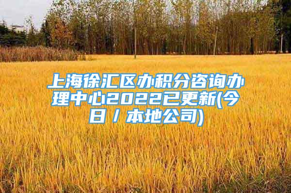 上海徐匯區(qū)辦積分咨詢辦理中心2022已更新(今日／本地公司)