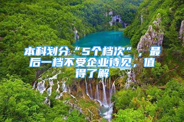 本科劃分“5個(gè)檔次”，最后一檔不受企業(yè)待見，值得了解