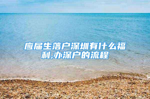 應(yīng)屆生落戶深圳有什么福利,辦深戶的流程