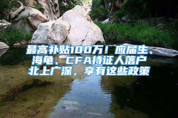 最高補(bǔ)貼100萬(wàn)！應(yīng)屆生、海龜、CFA持證人落戶北上廣深，享有這些政策