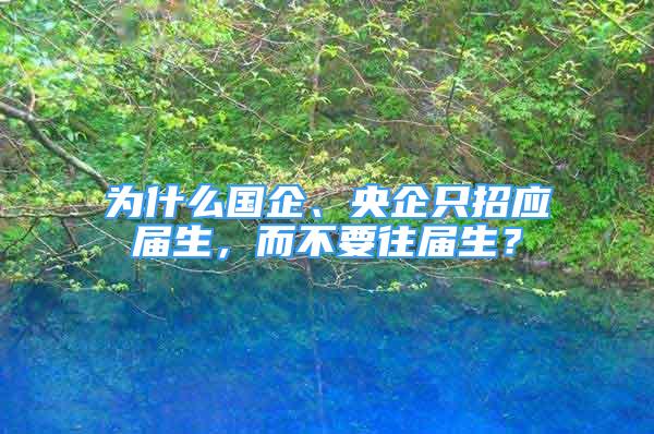 為什么國企、央企只招應(yīng)屆生，而不要往屆生？