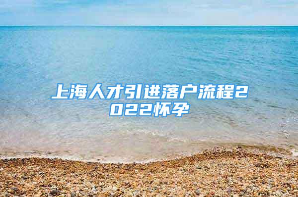 上海人才引進落戶流程2022懷孕