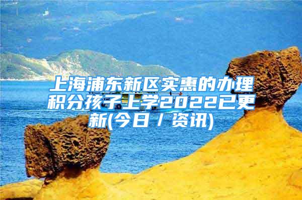 上海浦東新區(qū)實惠的辦理積分孩子上學(xué)2022已更新(今日／資訊)