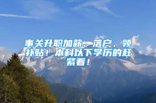 事關升職加薪、落戶、領補貼！本科以下學歷的趕緊看！