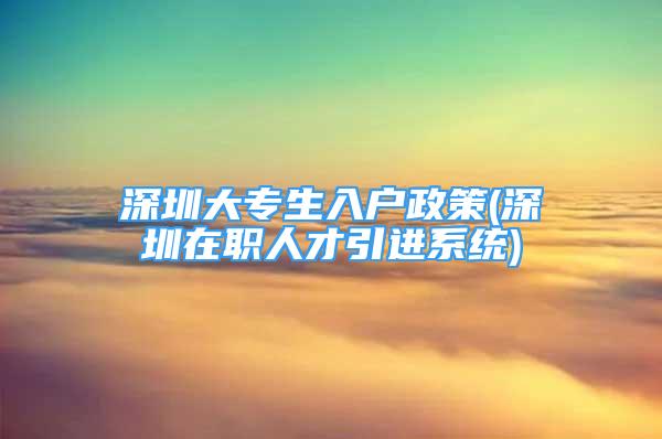 深圳大專生入戶政策(深圳在職人才引進(jìn)系統(tǒng))