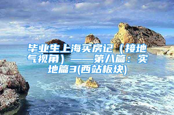 畢業(yè)生上海買房記（接地氣視角）——第八篇：實地篇3(西站板塊)