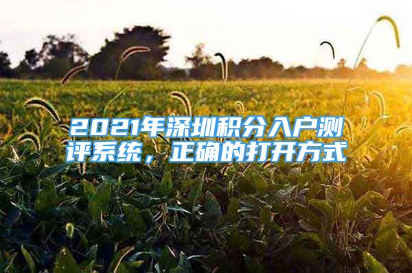 2021年深圳積分入戶測(cè)評(píng)系統(tǒng)，正確的打開方式