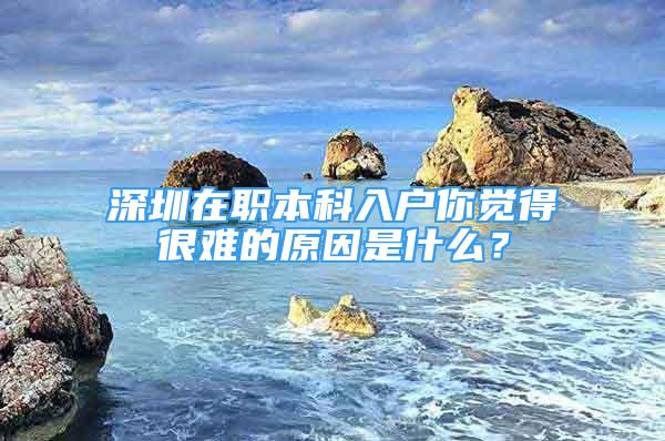 深圳在職本科入戶你覺得很難的原因是什么？