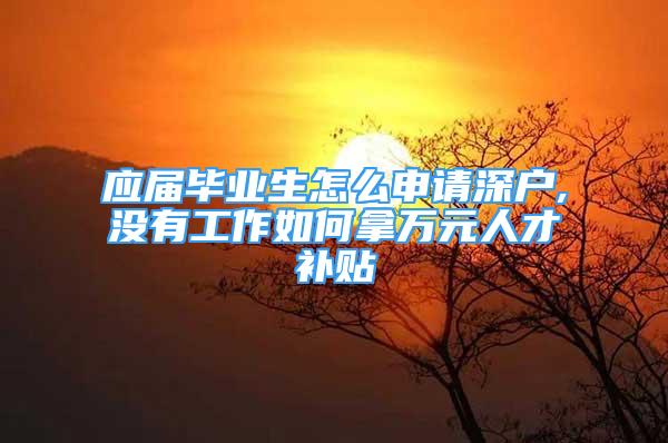 應(yīng)屆畢業(yè)生怎么申請(qǐng)深戶,沒(méi)有工作如何拿萬(wàn)元人才補(bǔ)貼