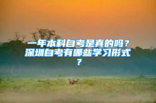 一年本科自考是真的嗎？深圳自考有哪些學(xué)習(xí)形式？