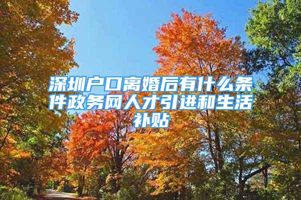 深圳戶口離婚后有什么條件政務(wù)網(wǎng)人才引進(jìn)和生活補貼