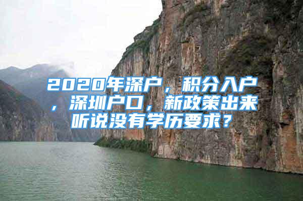 2020年深戶，積分入戶，深圳戶口，新政策出來聽說沒有學(xué)歷要求？