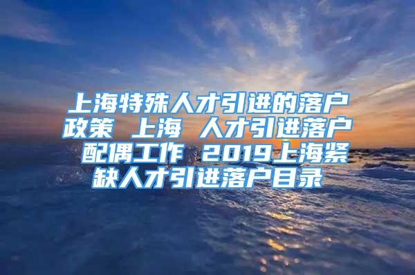 上海特殊人才引進的落戶政策 上海 人才引進落戶 配偶工作 2019上海緊缺人才引進落戶目錄