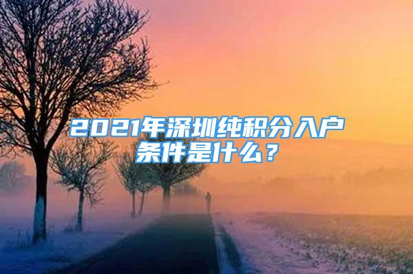 2021年深圳純積分入戶條件是什么？