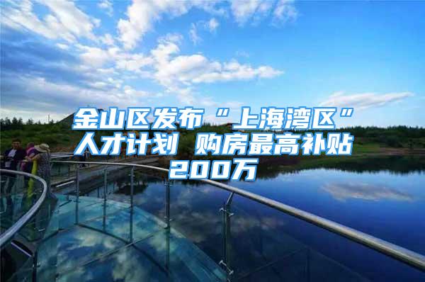 金山區(qū)發(fā)布“上海灣區(qū)”人才計劃 購房最高補貼200萬