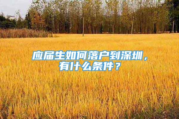 應(yīng)屆生如何落戶到深圳，有什么條件？