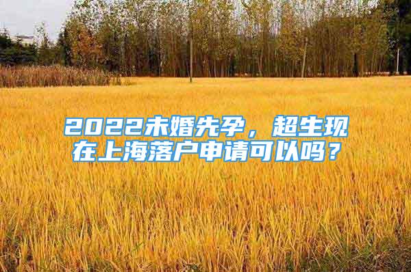 2022未婚先孕，超生現(xiàn)在上海落戶申請(qǐng)可以嗎？