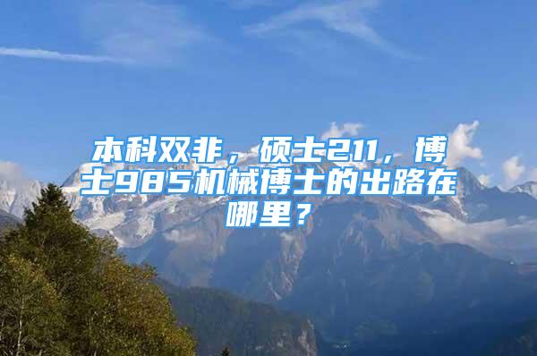 本科雙非，碩士211，博士985機(jī)械博士的出路在哪里？