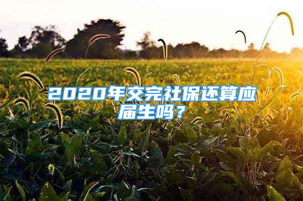 2020年交完社保還算應(yīng)屆生嗎？