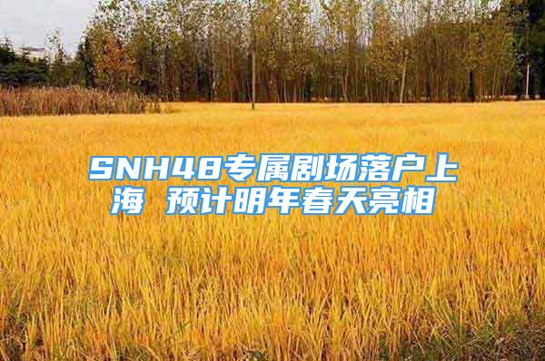 SNH48專屬劇場(chǎng)落戶上海 預(yù)計(jì)明年春天亮相