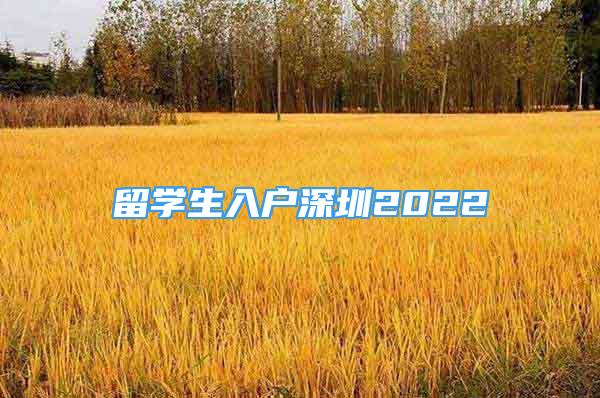 留學生入戶深圳2022