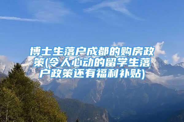 博士生落戶成都的購房政策(令人心動的留學生落戶政策還有福利補貼)