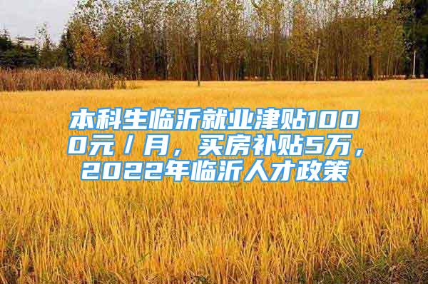 本科生臨沂就業(yè)津貼1000元／月，買房補貼5萬，2022年臨沂人才政策