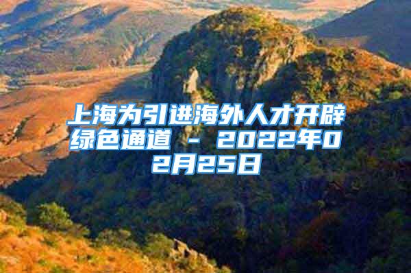 上海為引進(jìn)海外人才開辟綠色通道 - 2022年02月25日