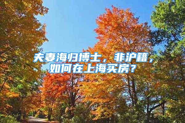 夫妻海歸博士，非滬籍，如何在上海買(mǎi)房？