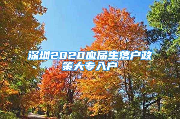 深圳2020應(yīng)屆生落戶政策大專入戶