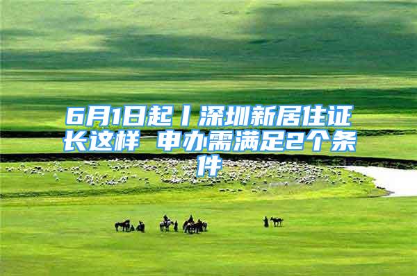 6月1日起丨深圳新居住證長這樣 申辦需滿足2個(gè)條件