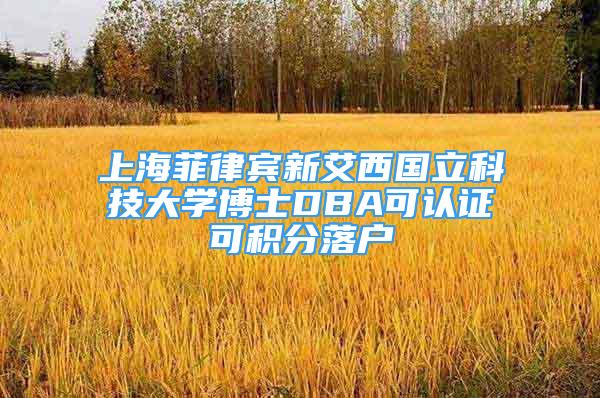 上海菲律賓新艾西國立科技大學(xué)博士DBA可認證可積分落戶