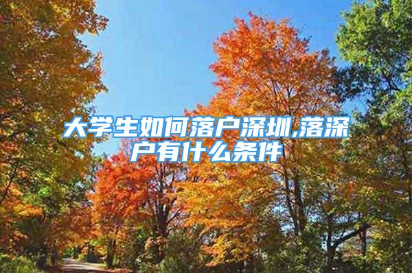 大學生如何落戶深圳,落深戶有什么條件