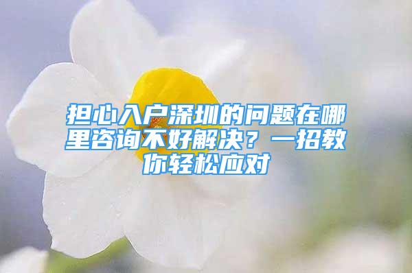 擔(dān)心入戶深圳的問題在哪里咨詢不好解決？一招教你輕松應(yīng)對(duì)