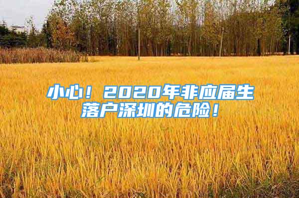 小心！2020年非應屆生落戶深圳的危險！