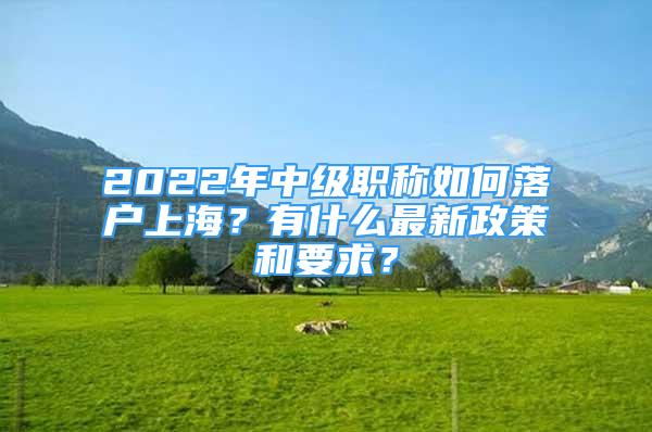 2022年中級(jí)職稱(chēng)如何落戶(hù)上海？有什么最新政策和要求？