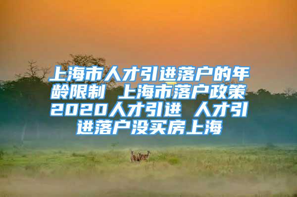 上海市人才引進落戶的年齡限制 上海市落戶政策2020人才引進 人才引進落戶沒買房上海