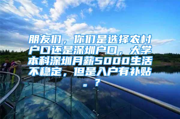 朋友們，你們是選擇農村戶口還是深圳戶口，大學本科深圳月薪5000生活不穩(wěn)定，但是入戶有補貼。？