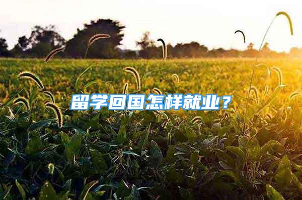 留學(xué)回國怎樣就業(yè)？