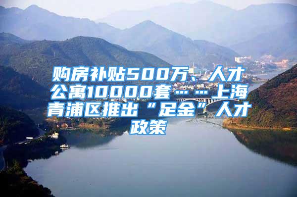 購房補貼500萬、人才公寓10000套……上海青浦區(qū)推出“足金”人才政策