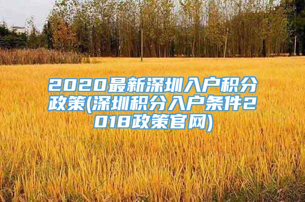 2020最新深圳入戶積分政策(深圳積分入戶條件2018政策官網(wǎng))