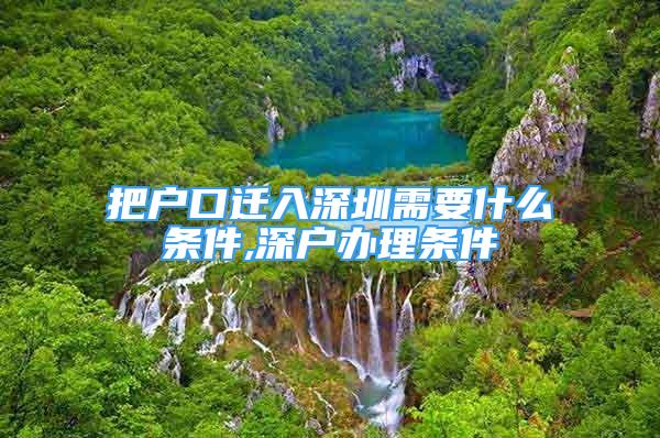 把戶口遷入深圳需要什么條件,深戶辦理條件