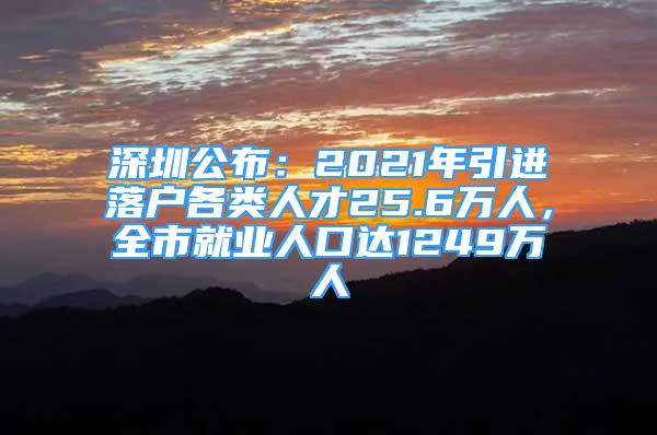 深圳公布：2021年引進(jìn)落戶各類人才25.6萬(wàn)人，全市就業(yè)人口達(dá)1249萬(wàn)人