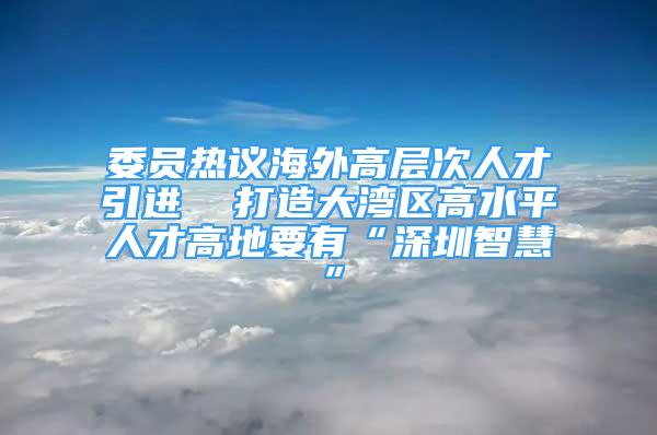 委員熱議海外高層次人才引進(jìn)  打造大灣區(qū)高水平人才高地要有“深圳智慧”