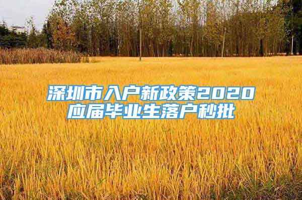 深圳市入戶新政策2020應屆畢業(yè)生落戶秒批