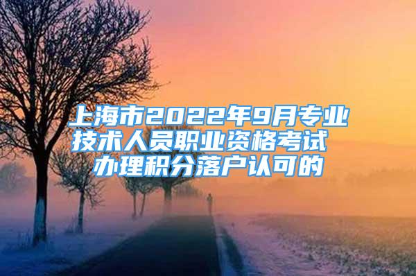 上海市2022年9月專業(yè)技術(shù)人員職業(yè)資格考試 辦理積分落戶認(rèn)可的