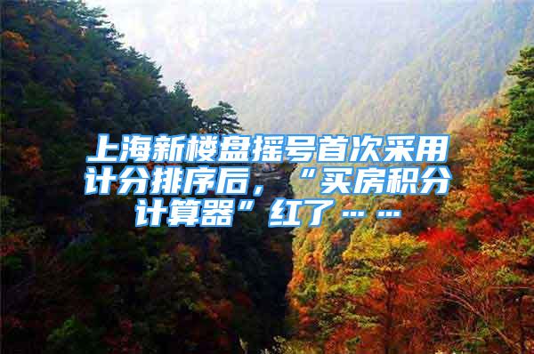 上海新樓盤搖號首次采用計分排序后，“買房積分計算器”紅了……